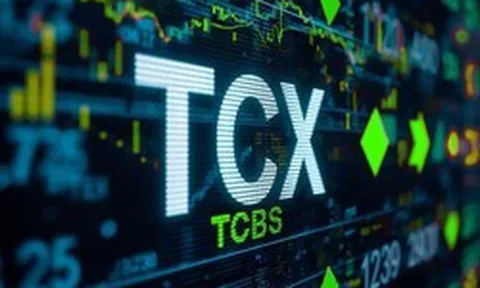 Liên tiếp trong nhóm dẫn đầu nộp ngân sách, TCBS khẳng định dấu ấn của một “ông lớn” thị trường vốn