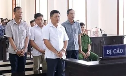 Hai cựu phó chủ tịch huyện bị phạt tù vì duyệt bán 183 nền nhà cụm dân cư vượt lũ sai đối tượng