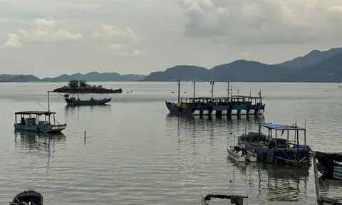 Chủ động ứng phó với áp thấp nhiệt đới trên biển Đông