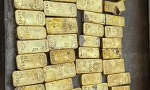 Phát hiện nhiều thỏi vàng trị giá hơn 270 tỷ đồng dưới nền một nhà máy bia cũ