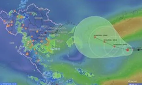 Áp thấp nhiệt đới gây gió giật cấp 8 trên Biển Đông, Quảng Trị trở ra Bắc Bộ mưa lớn