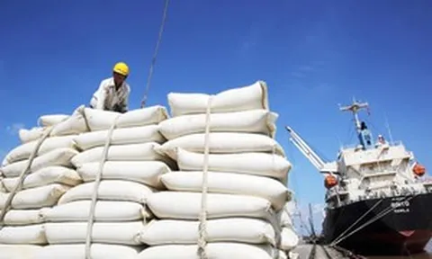 Đứng top thế giới về xuất khẩu, Việt Nam vẫn chi gần 800 triệu USD để mua loại lương thực này