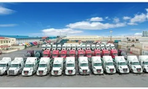 Viconship dự kiến phát hành 500 tỷ đồng trái phiếu, bảo đảm bằng vốn góp tại công ty con