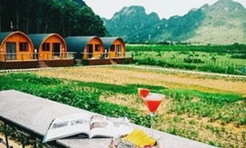 Sau cơn sốt 'bỏ phố về rừng', bất động sản trang trại giảm giá vẫn ế khách mua