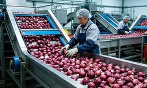 Trung Quốc kỳ vọng 'hái quả ngọt' với mặt hàng Việt Nam đang trồng rất nhiều: Nguồn cung khan hiếm, giá ngày càng đắt đỏ