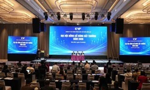 Một công ty tài chính nới room ngoại lên 50%