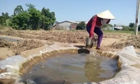 Đồng Tháp chủ động ứng phó hạn, mặn trước El Nino mạnh đến rất mạnh