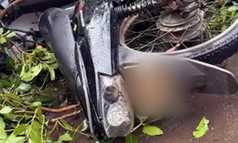 Nam thanh niên 18 tuổi lên Đắk Lắk học nghề bị cây ngã đè đã qua đời
