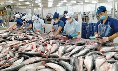 Xuất khẩu thủy sản tháng 7 đạt 1,1 tỷ USD, thị trường lớn hiện ra sao?