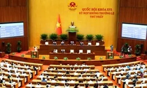 Cán bộ cố ý gây thiệt hại phải bồi thường tới 50 tháng lương