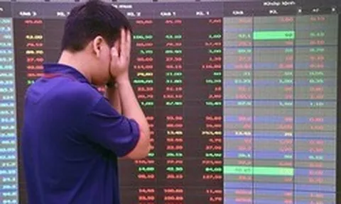 Một cổ phiếu chứng khoán bất ngờ "nằm sàn" giữa lúc VN-Index hưng phấn