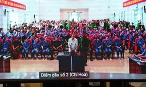 Luật sư: 'Tổng kho’ Hoàng Sĩ Thắng không chịu trách nhiệm về 11kg được 4 tiếp viên hàng không mang vào sân bay