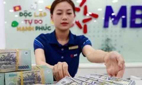 Lãi suất ngân hàng 24/8 tại Agribank, Vietcombank, BIDV, VietinBank, MB, Sacombank, HDBank,...