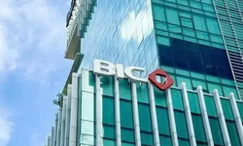 BIC sắp chi hơn 240 tỷ đồng trả cổ tức năm 2025
