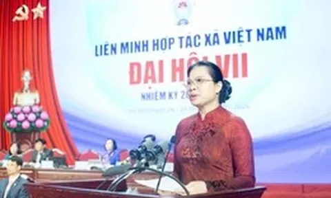 Xây dựng cán bộ quản trị và doanh nhân hợp tác xã thế hệ mới có tâm, có tầm
