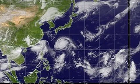 Bốn cơn bão 'nối đuôi' trên Thái Bình Dương: Hiếm đến mức nào, có bất thường?