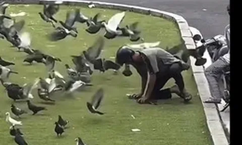Công an phường Sài Gòn làm việc với thanh niên bắt bồ câu giữa trung tâm TP.HCM