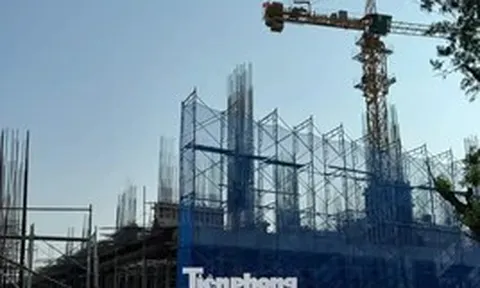Giá căn hộ ở TPHCM giảm mạnh sau sáp nhập