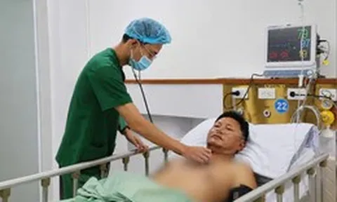 Bị ong vò vẽ đốt dẫn đến nhồi máu cơ tim cấp