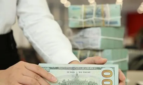 Vì sao ngân hàng nội tìm nhà đầu tư ngoại?