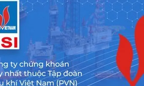 Chứng khoán Dầu khí sắp phát hành trái phiếu riêng lẻ