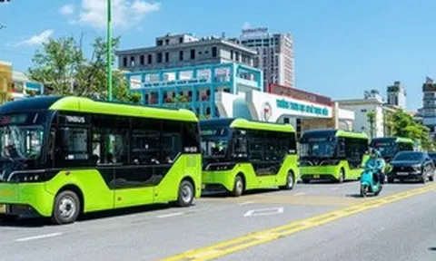 Từ 5/9, hàng nghìn học sinh ở Quảng Ninh sẽ được hưởng một chính sách đặc biệt chưa từng có, 50 chiếc VinBus đã sẵn sàng lăn bánh
