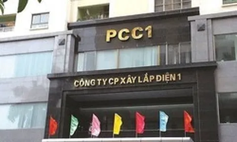 Nhóm CII tiếp tục tăng sở hữu tại công ty của nữ Chủ tịch sinh năm 1999