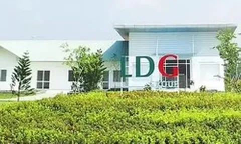 Nhiều doanh nghiệp bị nghi ngờ khả năng hoạt động liên tục