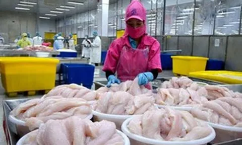 Mặt hàng xuất khẩu tỷ USD của Việt Nam trước bước ngoặt lớn: Mỹ siết thuế, Trung Quốc nổi lên