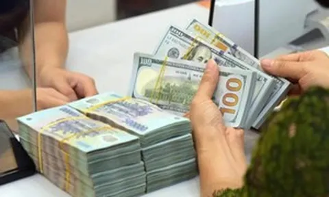 Tỷ giá USD tuần 31/7-4/9: Tỷ giá trung tâm đảo chiều sau 16 tuần tăng liên tiếp