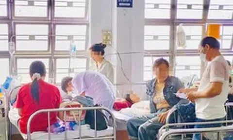 Xác định nguyên nhân gây ngộ độc do ăn bánh mì khiến 254 người ở Gia Lai nhập viện