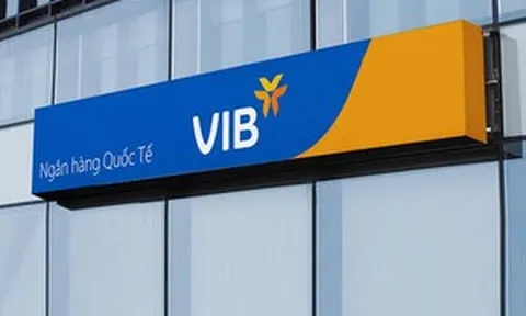 Cổ đông VIB thấy gì từ việc gần 8 triệu cổ phiếu được phát hành giá 0 đồng?