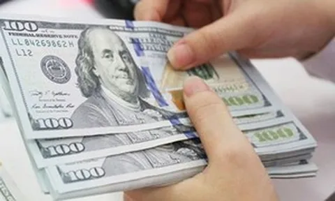 Tỷ giá hôm nay 8/9: USD giảm tới 50 đồng tại ngân hàng