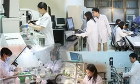 11 nhóm vị trí công tác lĩnh vực khoa học, công nghệ tại chính quyền địa phương phải định kỳ chuyển đổi