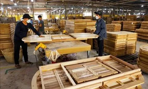 Mặt hàng xuất khẩu số 1 ngành nông nghiệp thu gần 11,7 tỷ USD, Mỹ mua gần một nửa, Trung Quốc mới gây bất ngờ