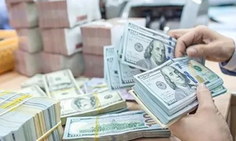 Chuyên gia dự báo diễn biến tỷ giá USD/VND trong ngắn hạn