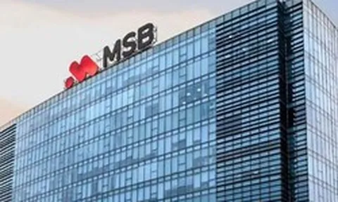Con trai Chủ tịch MSB đã mua 20 triệu cổ phiếu như đăng ký