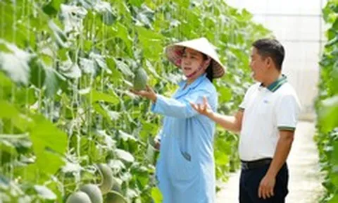 BIDV tiếp dòng tài chính, cùng khách hàng tiếp nối thành tựu