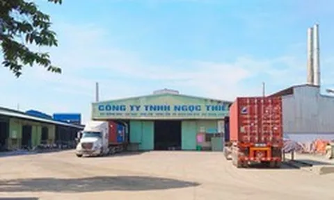 Nợ hơn 536 tỷ đồng liên quan đến thuế, một công ty có Phó Tổng giám đốc đang bị điều tra về tội lừa đảo