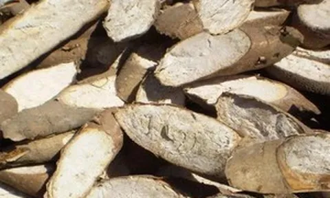 'Vàng trắng dưới lòng đất' của Việt Nam có sản lượng hơn 10 triệu tấn/năm