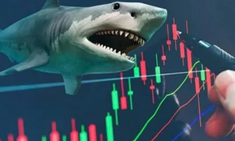 Quỹ ngoại gần 450 triệu USD đổ tiền vào 3 cổ phiếu ngân hàng