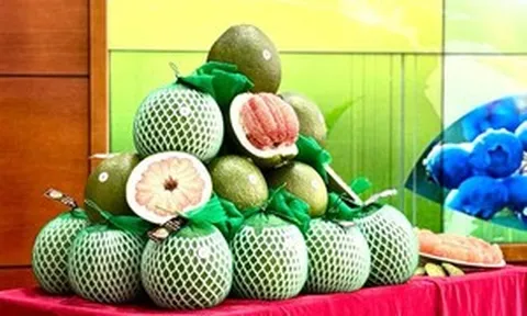 Bưởi tươi Việt Nam vừa gặp 'cú sốc' sau 5 tháng gia nhập thị trường Australia