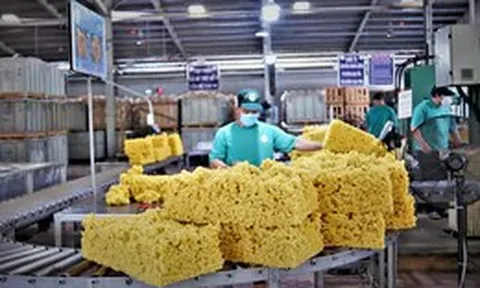 Doanh nghiệp ngành cao su lãi lớn nhờ đền bù đất