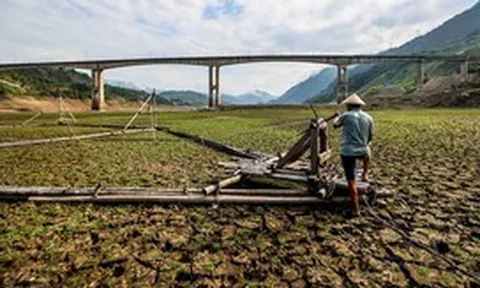 El Nino đã đạt ngưỡng rất mạnh và còn tiếp tục mạnh lên, dự báo thời tiết cực đoan