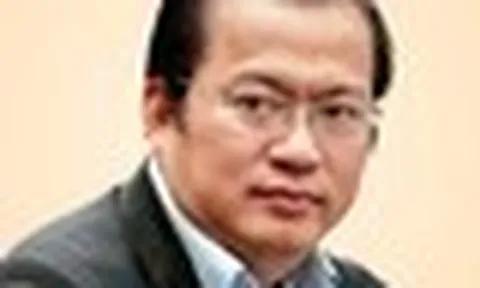 Cây xanh đổ làm chết người: Đừng đợi tai nạn rồi mới nói chuyện trách nhiệm