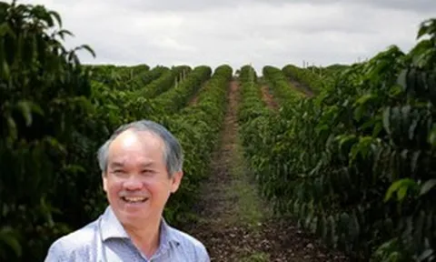 Bầu Đức trồng 20.000 ha cà phê Arabica: Đón đầu thị trường xuất khẩu 6 tỷ USD