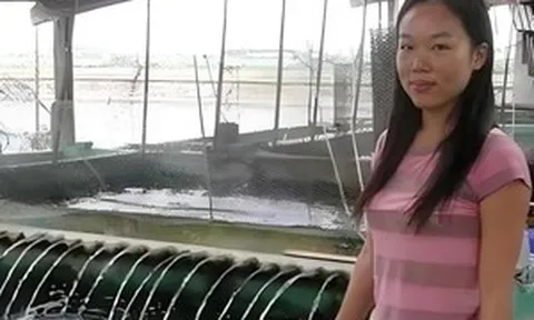 Phát hiện nữ sinh học giỏi bỏ học Đại học về nuôi cá, bán 1 con được 33,2 tỷ, tuyên bố rõ công việc mỗi ngày phải làm
