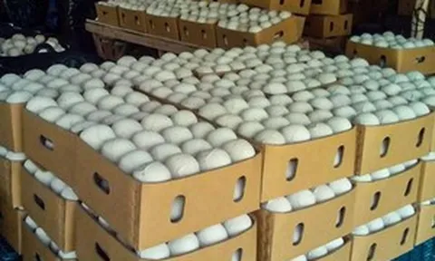 Người Mỹ đang 'mê' loại quả bán đầy vỉa hè Việt Nam hơn cả xoài và thanh long, một tháng chi 105 triệu USD nhập khẩu