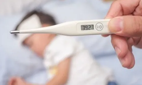 Đầu năm học mới, cha mẹ nhớ làm việc này để phòng viêm não Nhật Bản cho con