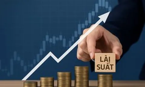 Lãi suất tăng cao, Tổng Giám đốc SGI Capital tiết lộ nơi giữ phần lớn tài sản